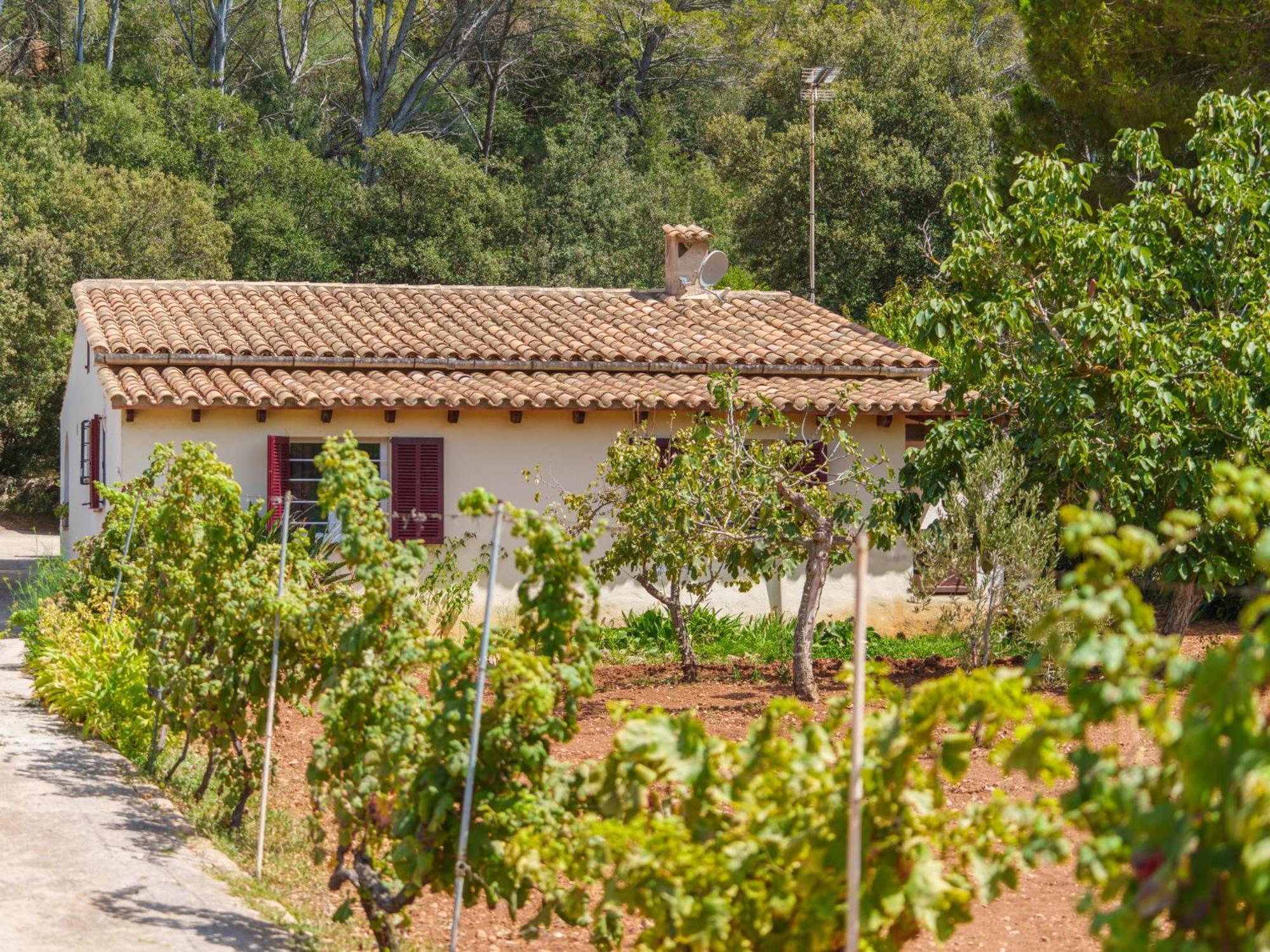 Holiday home Ullastro By Interhome Pollenca